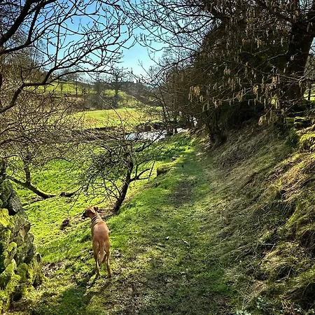 Otterhills